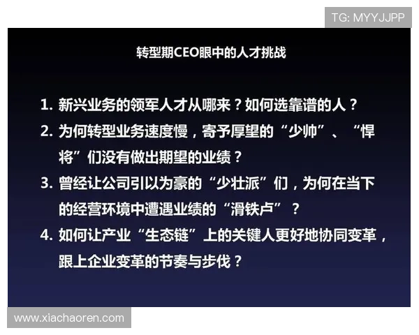 沈阳企业家如何推动地方经济发展与创新转型的实践与思考